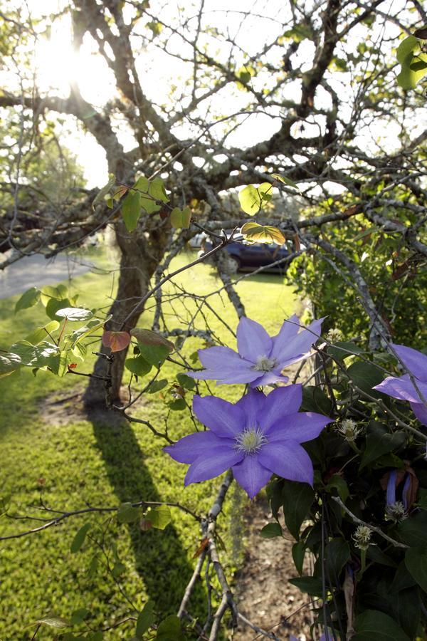 Dublin Farm Bed and Breakfast Εξωτερικό φωτογραφία