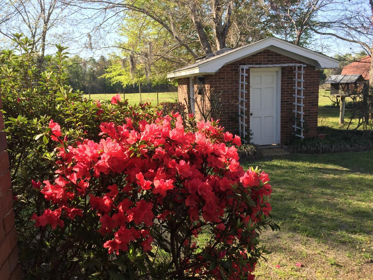 Dublin Farm Bed and Breakfast Εξωτερικό φωτογραφία