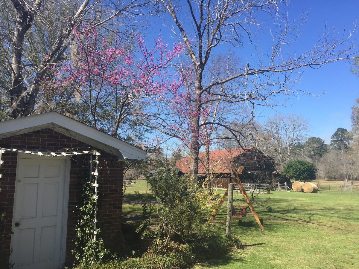 Dublin Farm Bed and Breakfast Εξωτερικό φωτογραφία