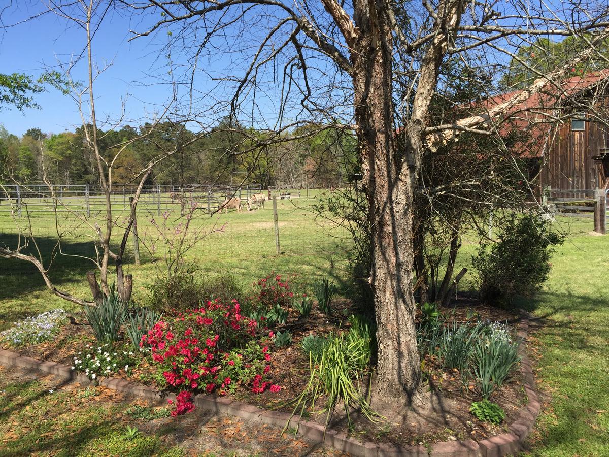 Dublin Farm Bed and Breakfast Εξωτερικό φωτογραφία