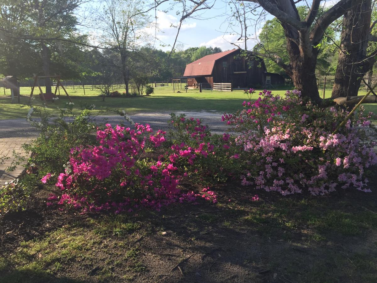 Dublin Farm Bed and Breakfast Εξωτερικό φωτογραφία