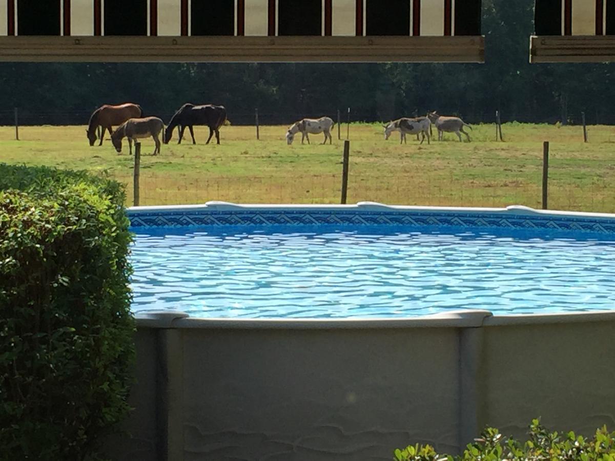 Dublin Farm Bed and Breakfast Εξωτερικό φωτογραφία
